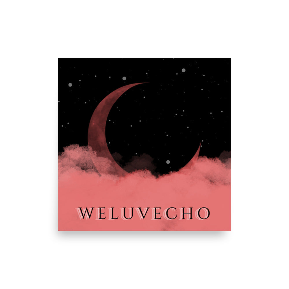 WeLuvEcho Poster