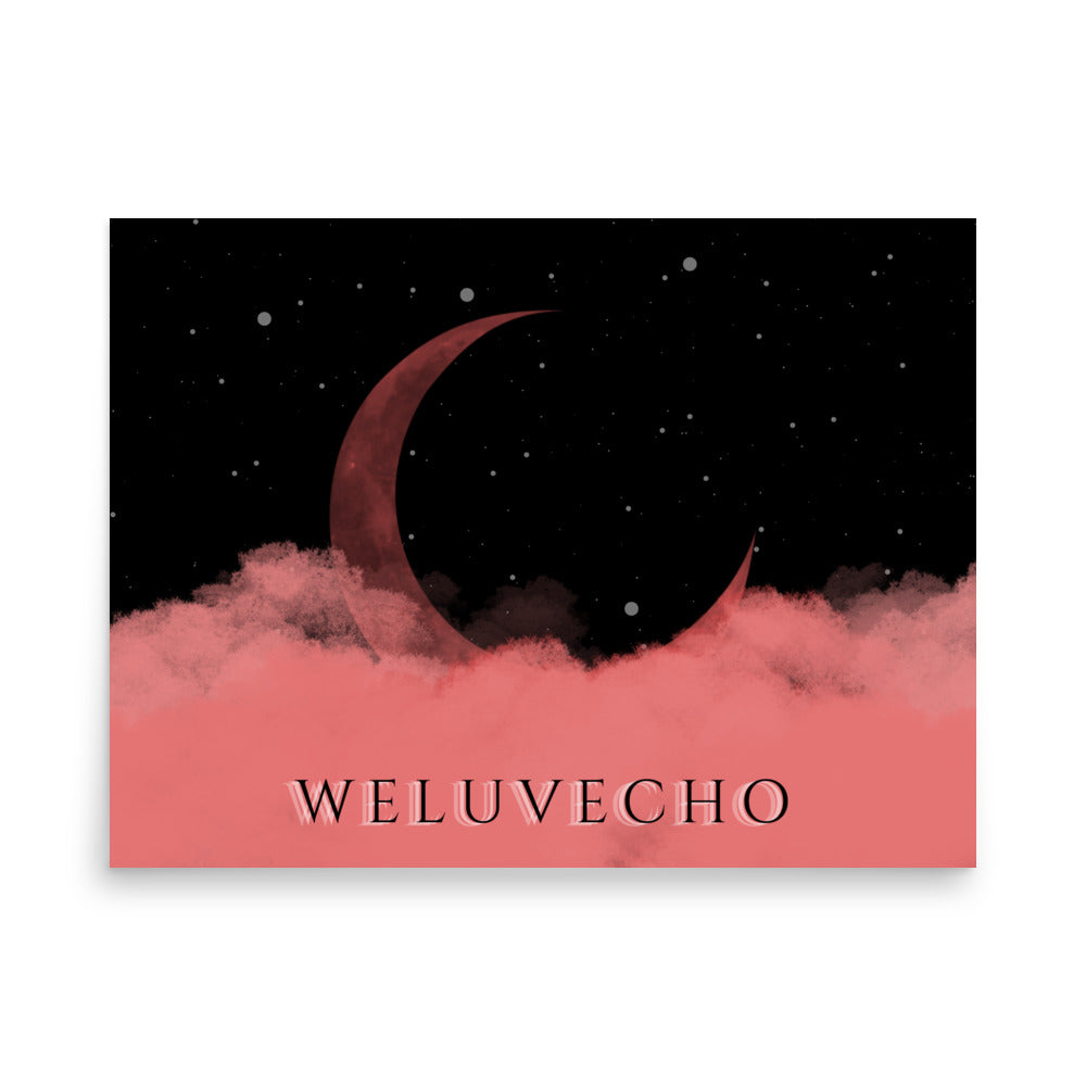 WeLuvEcho Poster